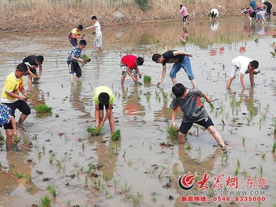 2018首屆中國黃河口大地文化藝術(shù)節(jié)插秧節(jié)盛大開幕，有機(jī)稻谷種植研發(fā)引領(lǐng)綠色農(nóng)業(yè)新篇章